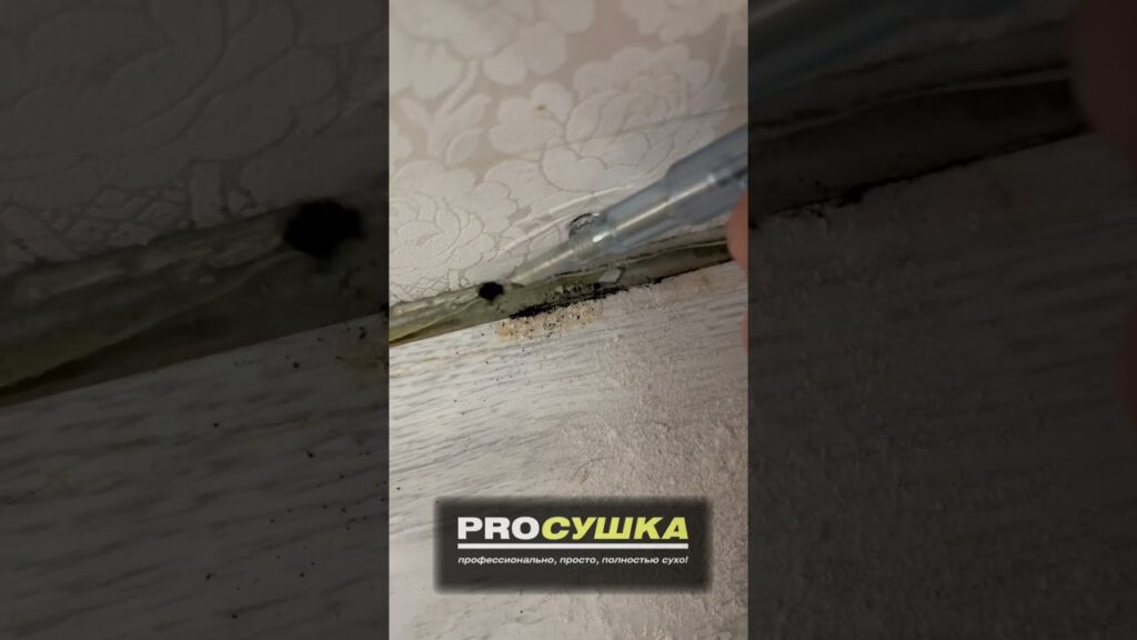 kak prosushit laminat 1024x576 - Видео - Как просушить ламинат